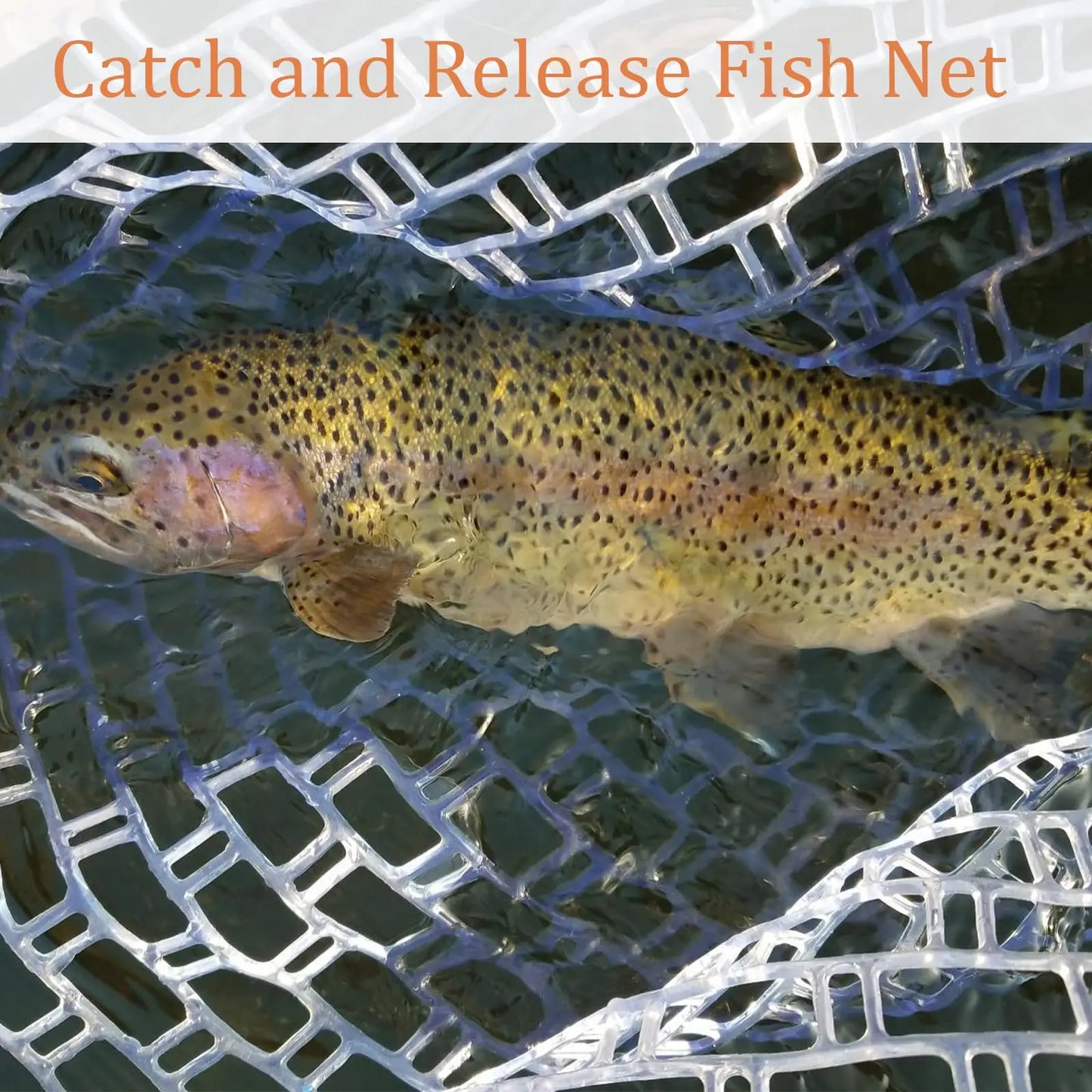 Fishing Net For Trout With Soft Rubber Mesh And Wooden Handle