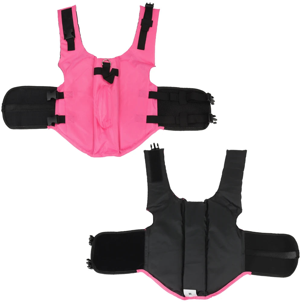 Shark Themed Dog Life Vest For Safe Swimming And Travel