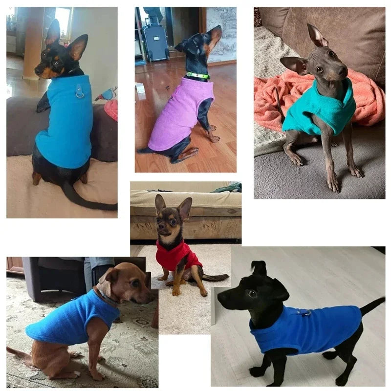 Winter Weatherproof Fleece Dog Coat With D Ring For Dogs