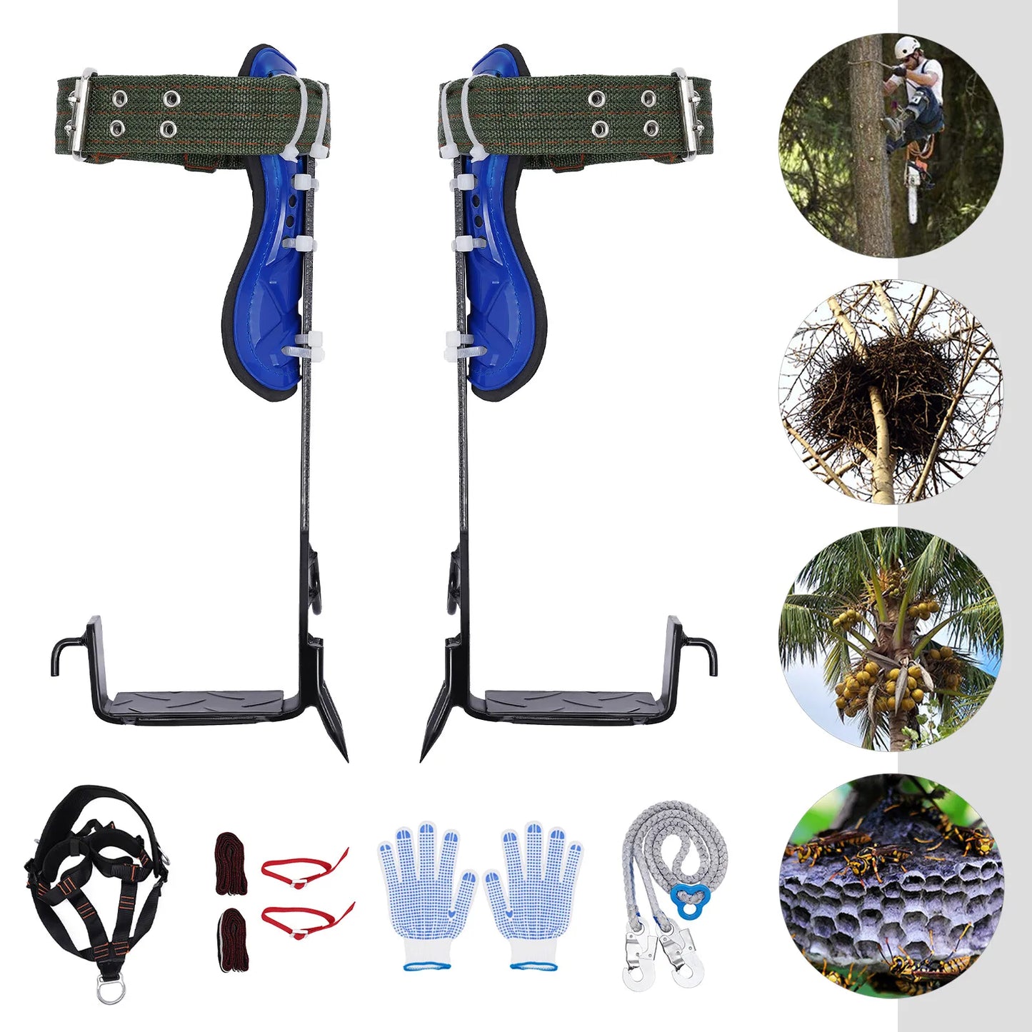 Climbing Spikes and Harness Kit with Gloves for Tree Climbing